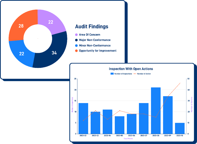 audit findings